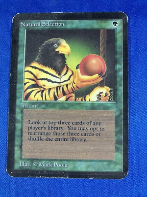 1x NATURAL SELECTION x1 MP Alpha MtG Magic Reserved List fast shipping