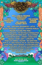 THE PEACH 2019 MUSICAL FESTIVAL CONCERT POSTER: Phil Lesh,Trey Anastasio,Lettuce