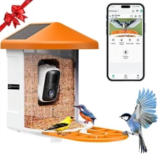 Bird Feeder with Camera Solar Powered, AI Identify Birds Species, WiFi Smart ...