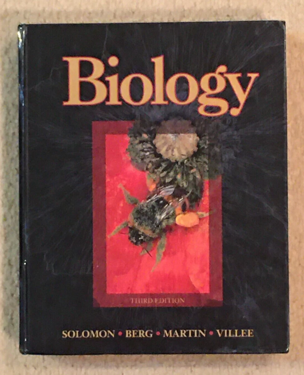 Salomon berg top