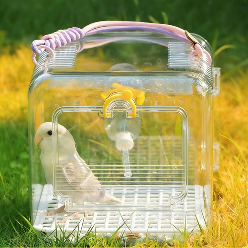 Cage de transport transparente