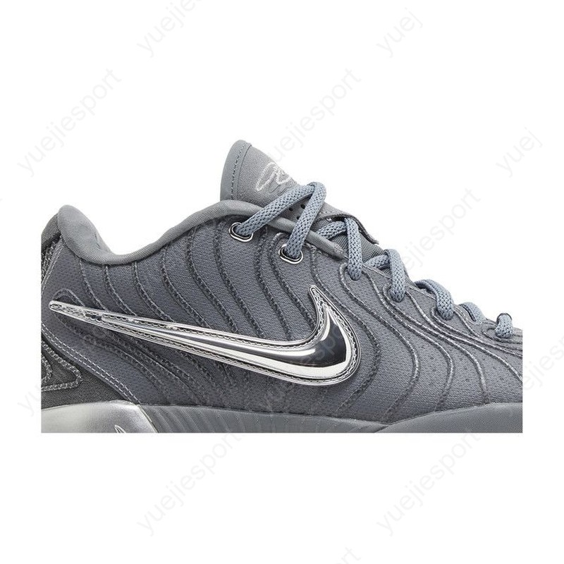 Nike Lebron 21 Cool Grey HF5353-001 | eBay