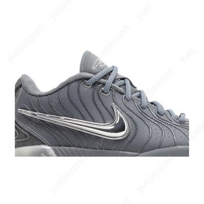 Nike Lebron 21 Cool Grey HF5353-001 | eBay
