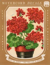 Vintage Meyercord Decal X 104-A Potted Geraniums