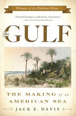 The Gulf: The Making of An American Sea