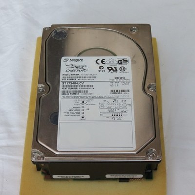 Seagate Cheetah 73,4Gb 10k RPM ST173404LCV SCSI Festplatte ungetestet