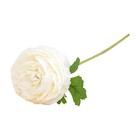 Bild 3 von 32