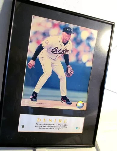 Cal Ripkin Photo Matted Nicely Framed 12"x16" w/2 MLB Authentication HOLOGRAMS!