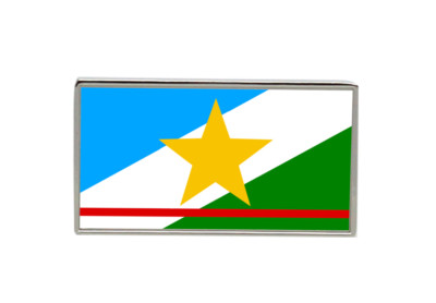 Roraima (Brazil) Flag Lapel Pin Badge
