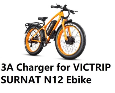  3A battery Charger For Victrip SURANT N12 M1 R6 off road ebike (5A avaiable