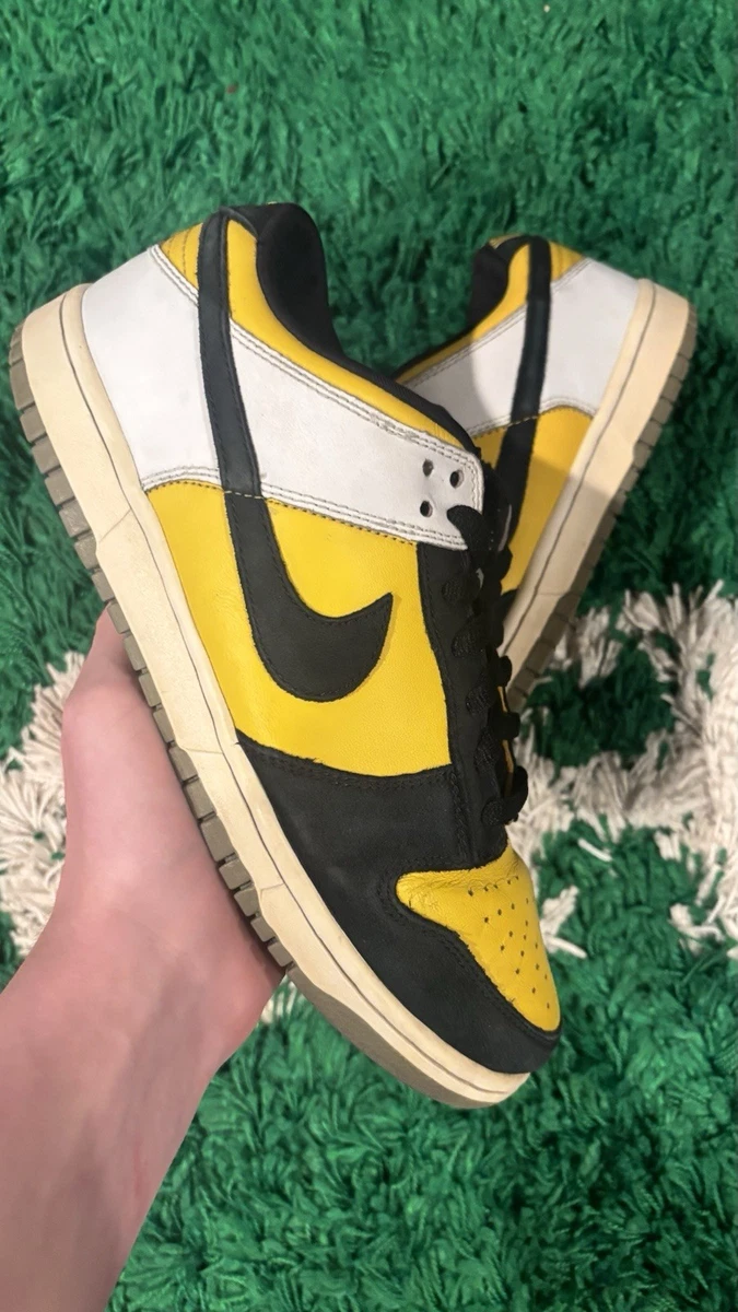 Nike Dunk Pro SB Low Bic for Sale | Authenticity Guaranteed | eBay
