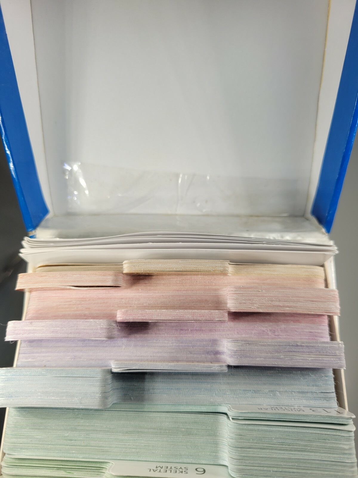 Medical Study Guide Barron's Anatomy Flash Cards 2nd Edition