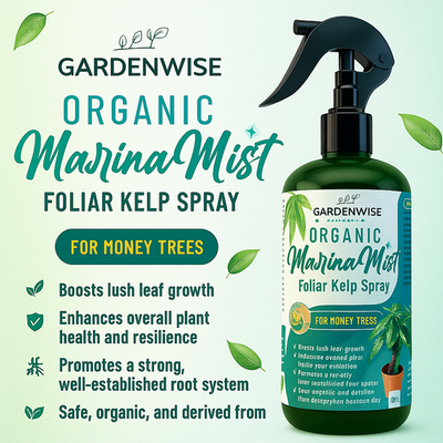Organic Money Tree Foliar Kelp Spray Liquid Plant Food Indoor | eBay