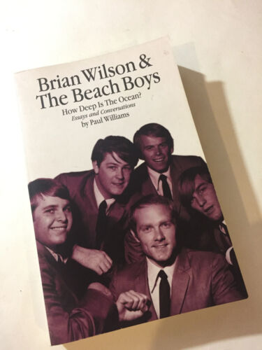 BEACH BOYS 'How Deep Is The Ocean' Paul Williams 1966 (2003) UK PB Book - Foto 1 di 1