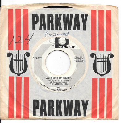 #ad THE VOLCANICS Your Kind Of Loving on Parkway 60s garage beat PROMO 45 HEAR $8.00