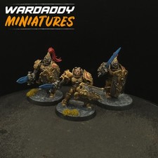 Pro Painted Warhammer 40k Custodes ×3 DL4 Ad...