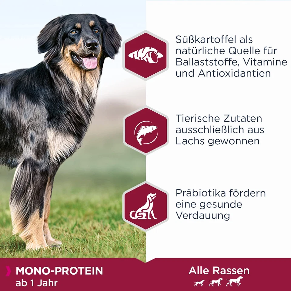 Daily Care Mono-Protein Hundefutter - Trockenfutter mit nur Lachs als tierisc... - Bild 3 von 4