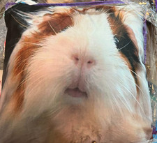 NEW Guinea Pig Throw Pillow Travel Soft Fluffy Fuzzy Case 18x18" Piggy Lips Cute