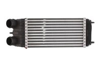 Thermotec DAC003TT LadeluftküHler FüR CitroËN,Peugeot