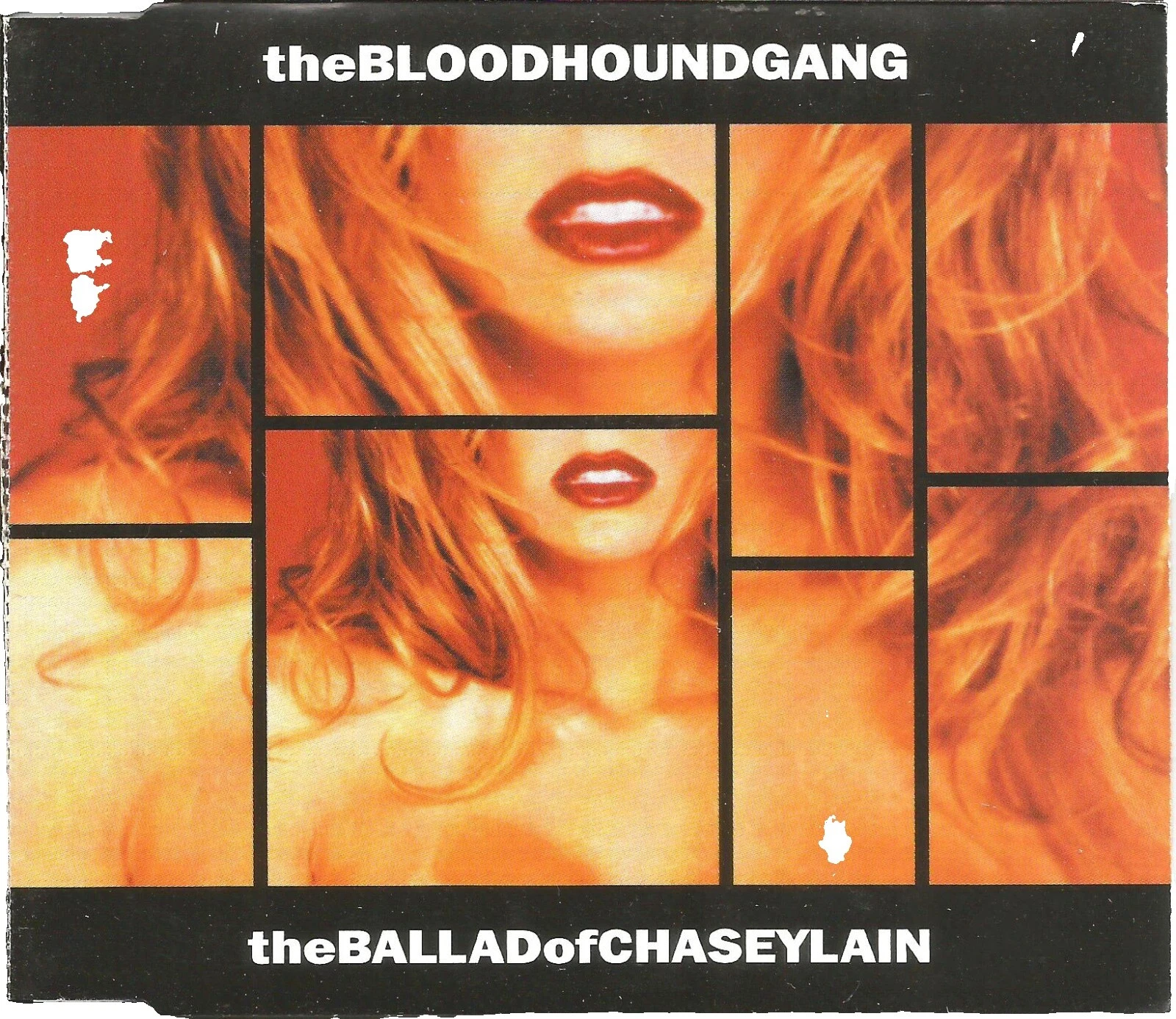 Music CDs Bloodhound Gang