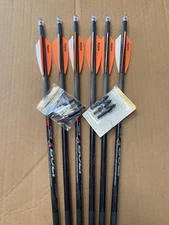 CROSSBOW BOLTS  Lighted Victory Archery 20"  Six Pk  FREE MEATSEEKER BROADHADS !