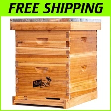 Beehive Starter Kit with 10 Frames - Beginner Beekeeping Set