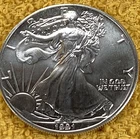 1 Oz. Fine Silver 1991 silver Eagle UNC. FREE SHIPPING.