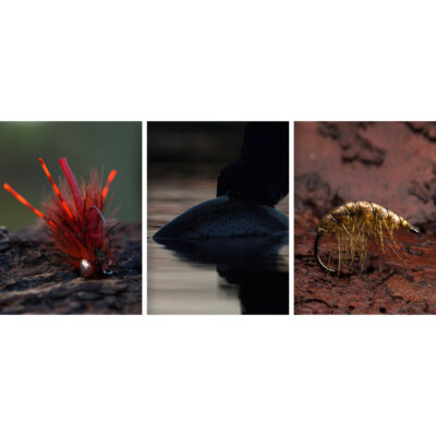 MATERIALI RARI E Insoliti Per Legare Le Mosche: Una Storia Naturale Volume... EUR 359,84 - Foto 3