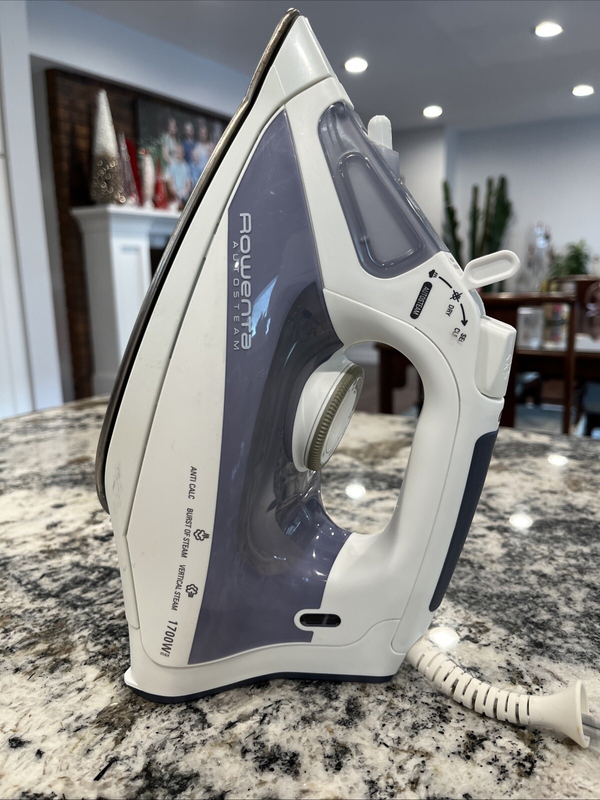 Rowenta  Autosteam  Auto Shut Off Clothes  Iron, 1700 Watts 