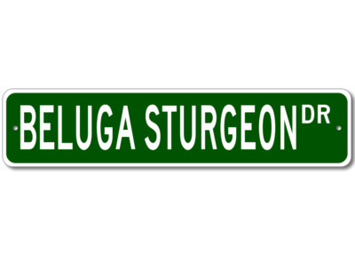 Beluga Sturgeon Fish Sign Metal Wall Decor Fishing Street Sign - Aluminum