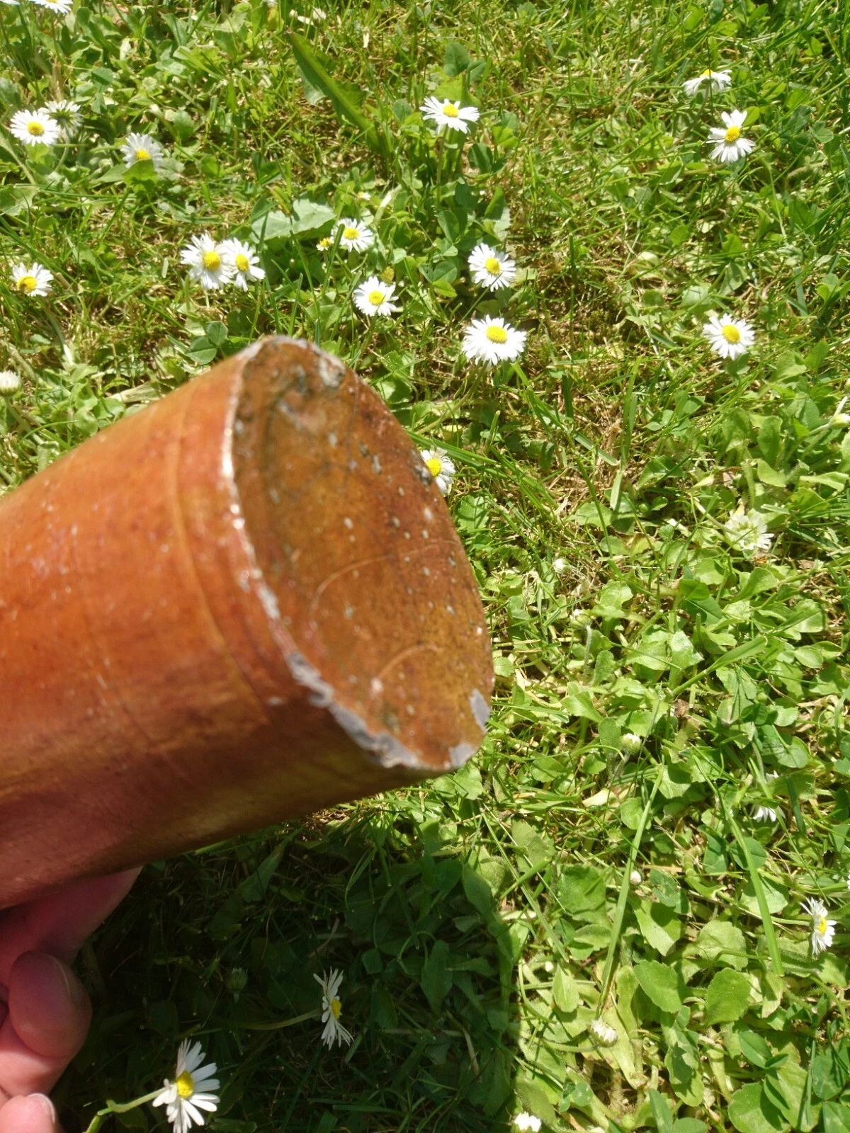 Bild 14 von 19