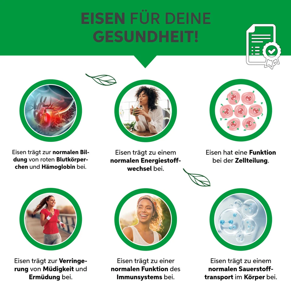 Bio Chlorella Pulver | Premium Rohkost-Qualität | 100% rein ohne Zusätze | Vegan - Bild 3 von 4