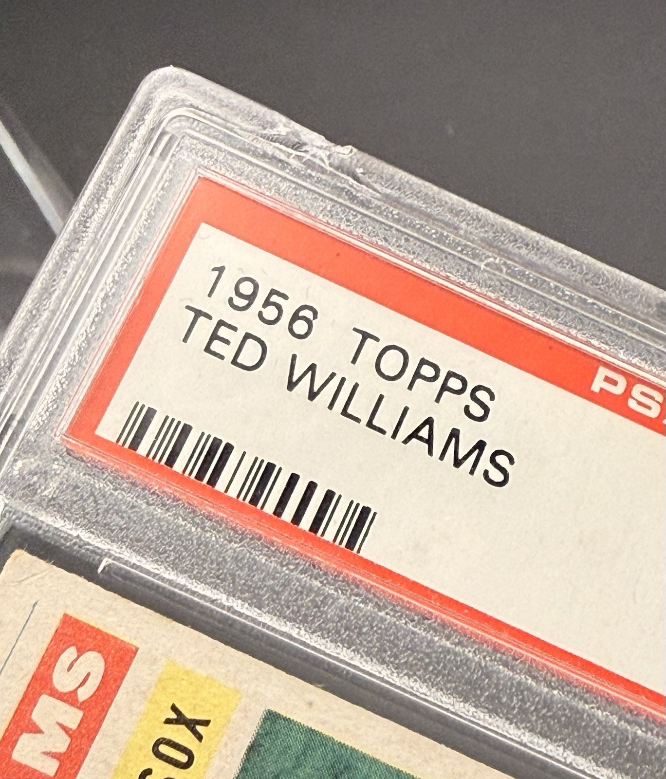 1956 Topps Ted Williams #5 Gray Back PSA 3 🔥 Vintage Hall of Fame Classic! view 3