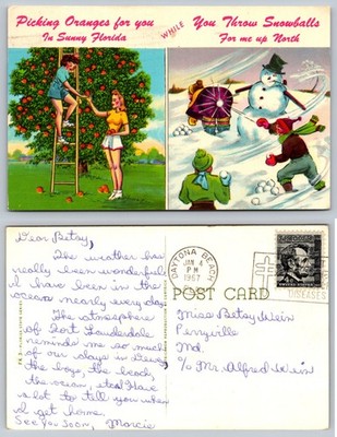Picking Oranges Snowball Fight Florida Postcard
