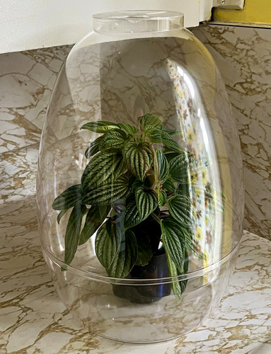 Vintage Mid Century 1960s Atomic Space Age Egg Terrarium Planter MCM  Groovy 14”