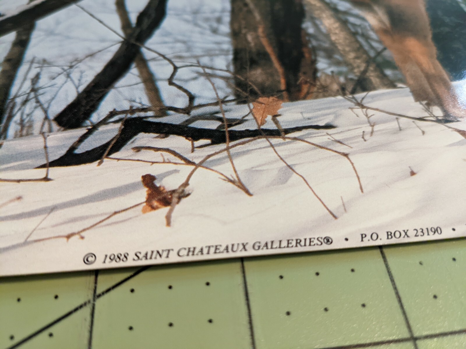 1988 Saint Chateaux Galleries WHITE TAILED DEER Home Decor Print 10.25"x 13.25" eBay