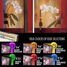 ORCHID LINES I (24x24) & ORCHID LINES II (24x24) SET by DON LI-LEGER 2PC CANVAS