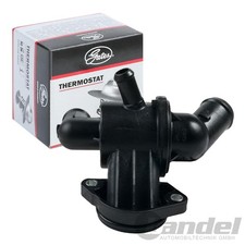 Thermostat Audi 60