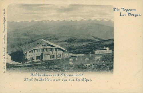 Ansichtskarte Belchenhaus mit Alpenansicht Vogesen um 1910 (Nr.799) Elsass