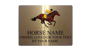 Personalised Racing Horse Name Metal Aluminium Sign Plaque Stable Door ...