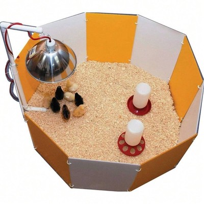 Farm Innovators Baby Chick Starter Home Brooder Pen With Adjustable Lamp Hanger