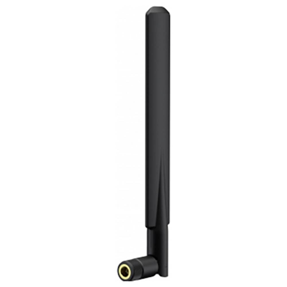 Terminal antenne WiFi Wittenberg double bande connectique SMA plaquée