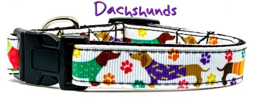 Dachshund dog collar handmade adjustable buckle collar 5/8" wide or leash  - Picture 1 of 8