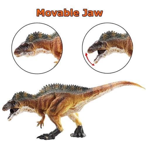 safari ltd life cycle of a monarch butterfly