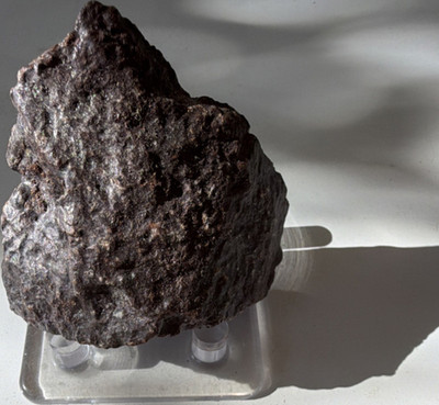 560 gram Large Campo del Cielo Iron Meteorite Specimen with Display Stand