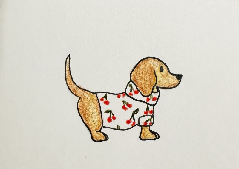 Aceo Dog Art Dachshund Delilah Illustrates