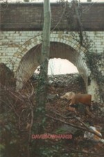 PHOTO  REMAINS OF SUBWAY AT ARTHINGTON STATION AT FIRST SIGHT THE STATION SITE A