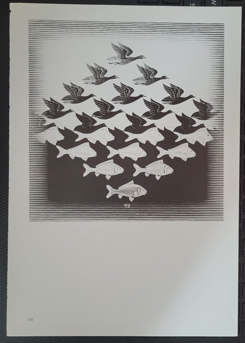 SKY AND WATER I (Fish Gradually Metamorphose into Birds) M C