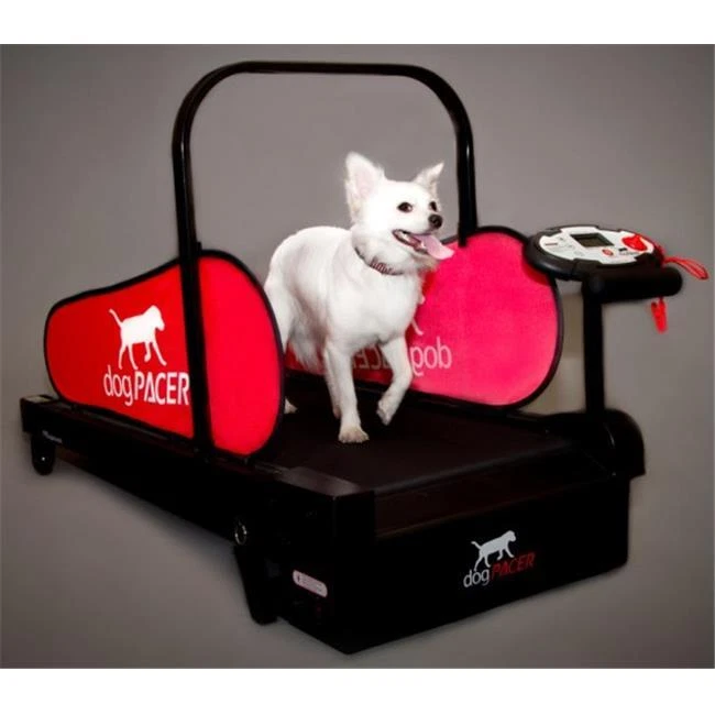 Goplus dog treadmill outlet