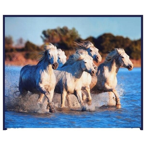 CARNIVALE designed by Debi Payne for Quilting Treasures - bty